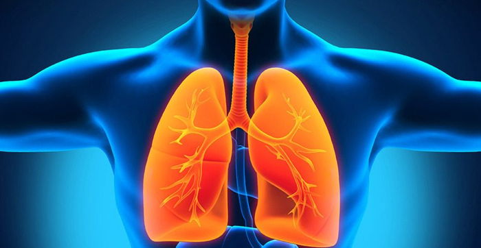 İdiopatik Pulmoner Fibrozis