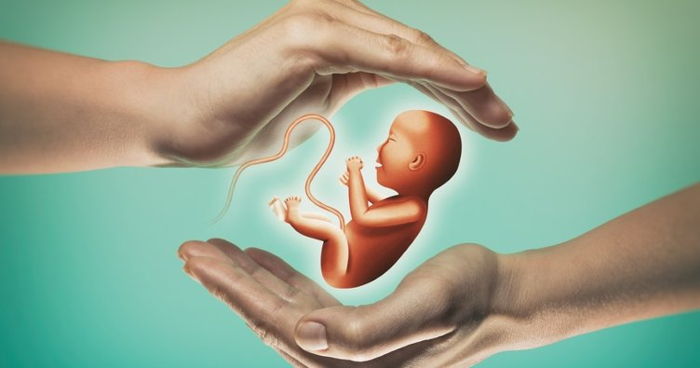 Kısırlık ve Tüp Bebek Uygulamalarında Akupunktur